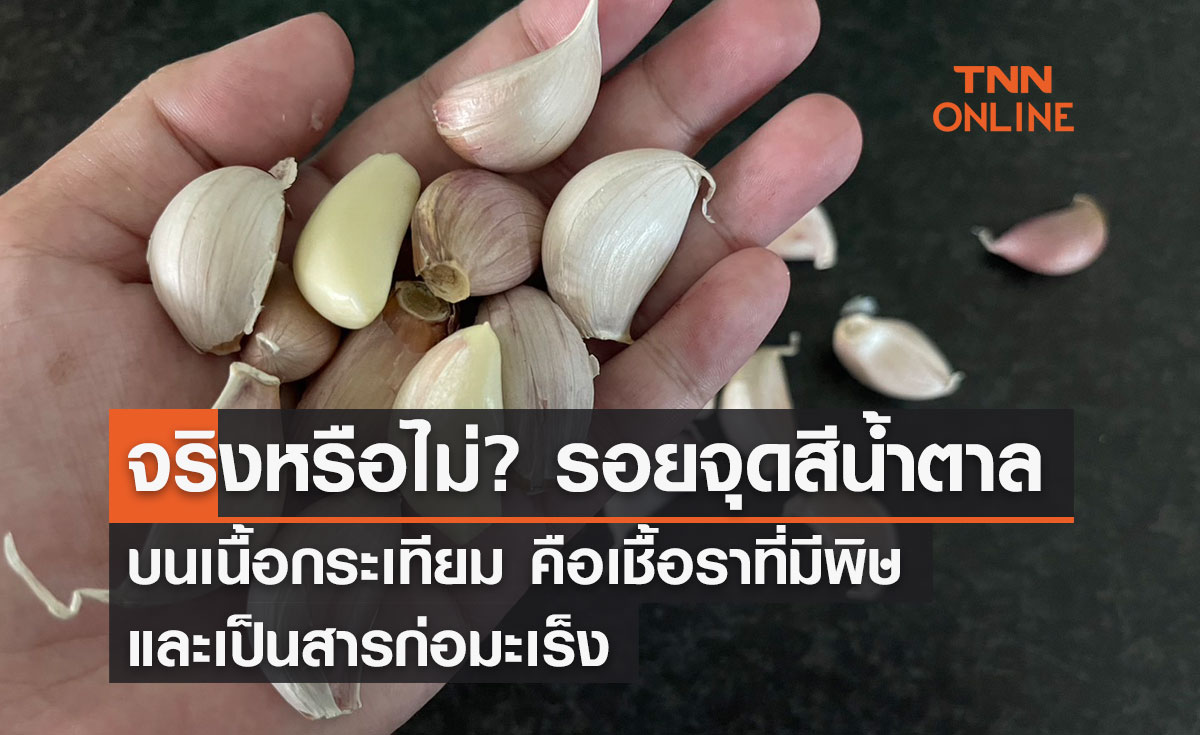 จริงหรือไม่? รอยจุดสีน้ำตาลบนเนื้อกระเทียม คือเชื้อราที่มีพิษ และเป็นสารก่อมะเร็ง
