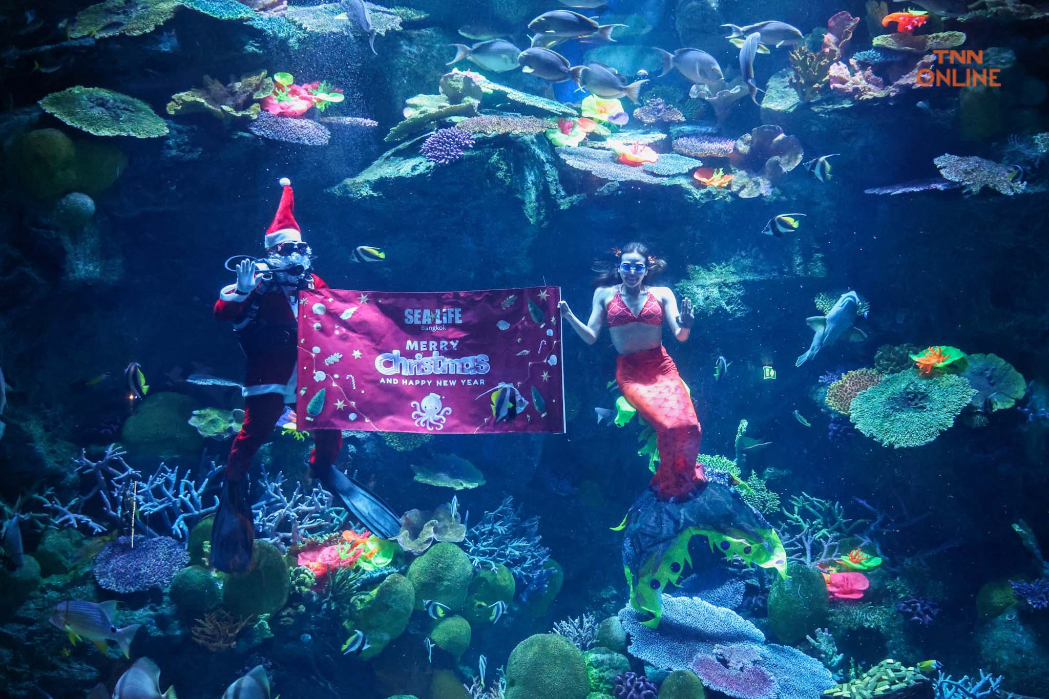 คริสต์มาสใต้ทองทะเล ซานตาคลอส-เงือกน้อย ทักทาย นทท. ผู้มาเยือน