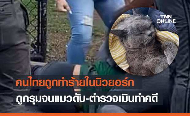 แห่แชร์! คนไทยถูกทำร้ายในนิวยอร์ก ถูกรุมสกรัมจนสูญเสียแมวรัก