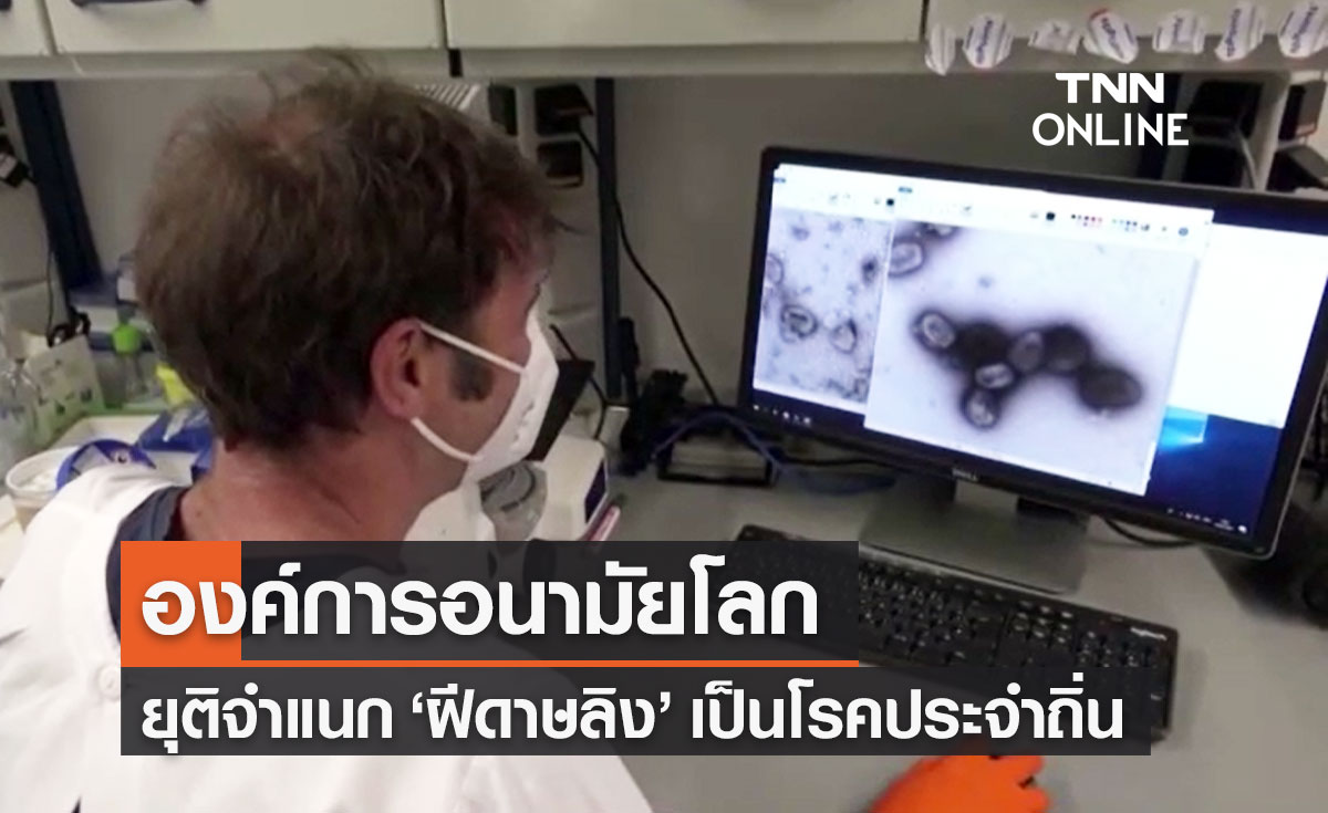 องค์การอนามัยโลก ยุติจำแนก "ฝีดาษลิง" เป็นโรคประจำถิ่น