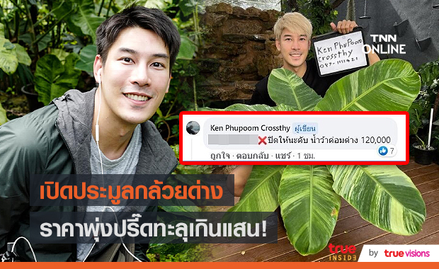 "เคน ภูภูมิ" เปิดประมูลกล้วยด่าง  ไม่กี่ชั่วโมงได้ราคาเกินแสน (มีคลิป) 