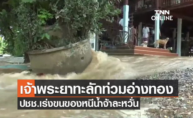 น้ำเจ้าพระยาทะลักท่วม "อ่างทอง" ปชช.เร่งขนของหนีน้ำจ้าละหวั่น