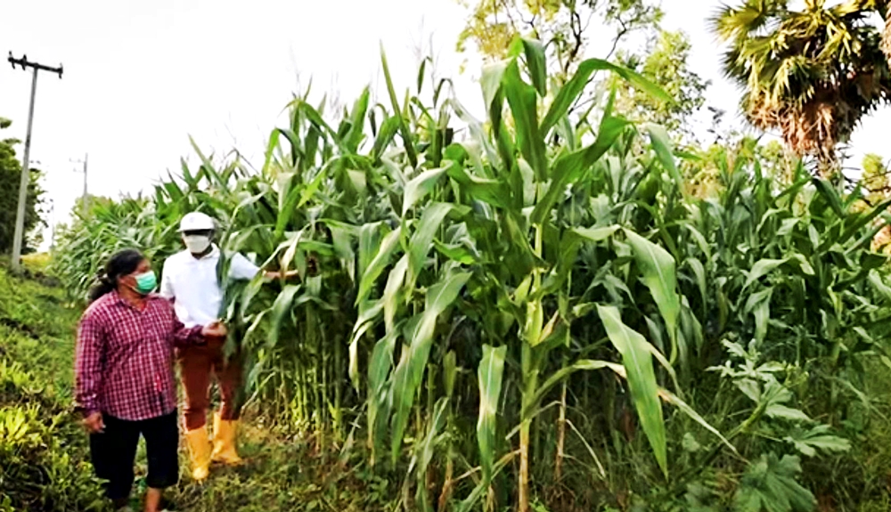 “ซีพีเอฟ กรีนฟาร์ม” นวัตกรรมการเลี้ยงสัตว์ ช่วยลดโลกร้อน