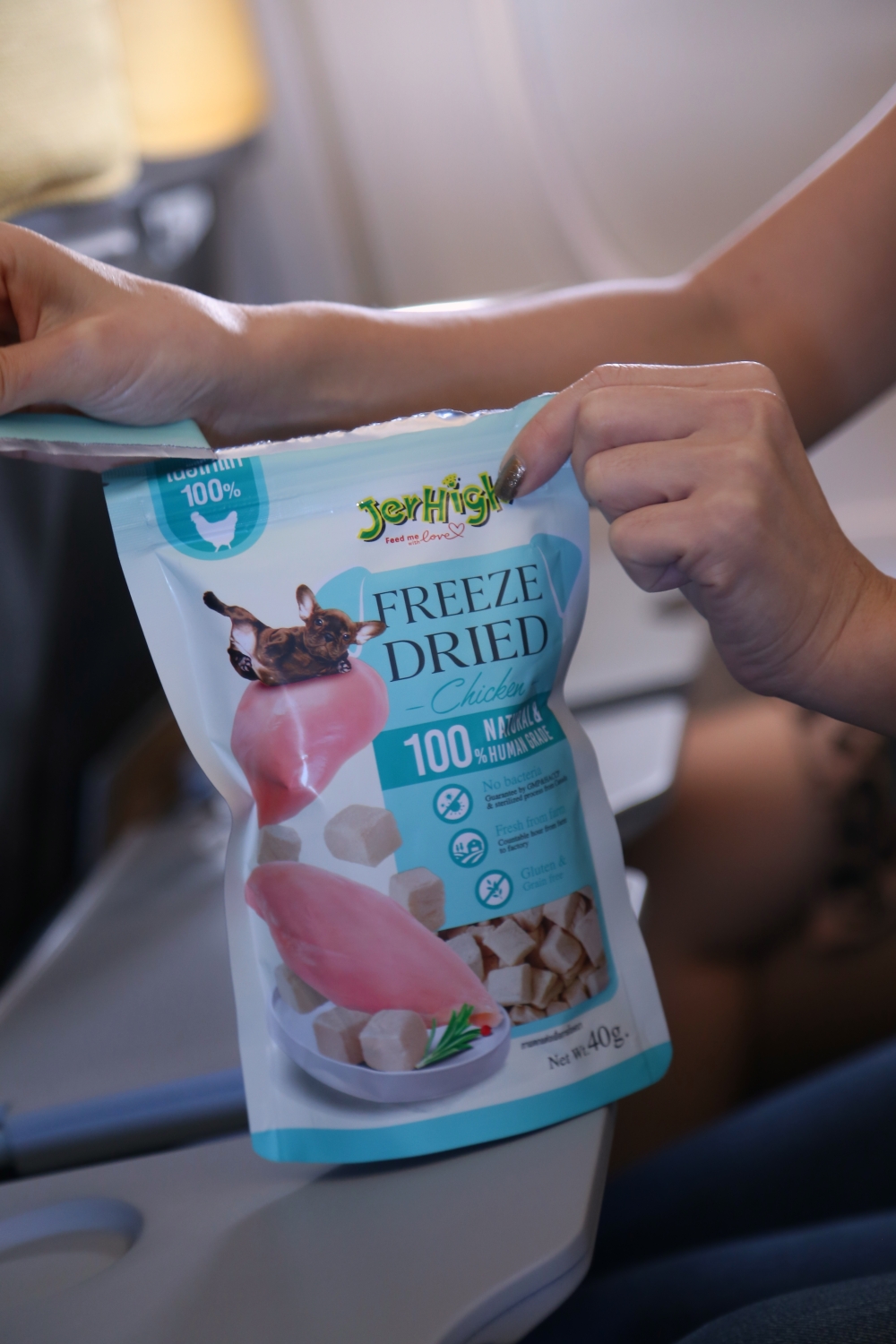 JerHigh x Nok Air เปิดไฟลท์พิเศษ พามะหมาตัวโปรด ลัดฟ้าแอ่วเชียงใหม่