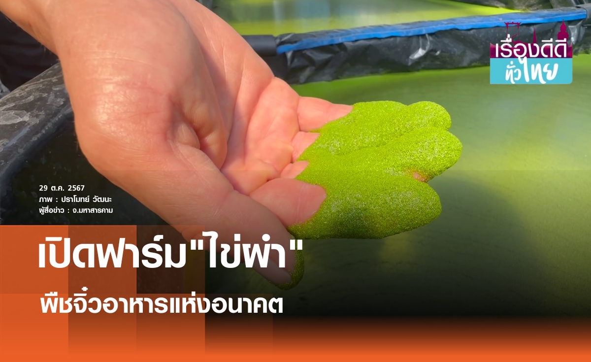 เปิดฟาร์ม"ไข่ผำ"พืชจิ๋วอาหารแห่งอนาคต | เรื่องดีดีทั่วไทย