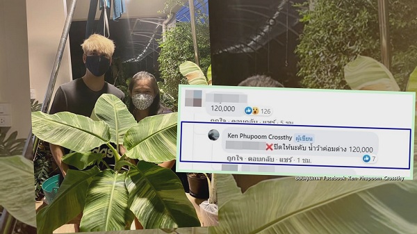 เคน ภูภูมิ เปิดประมูลกล้วยด่าง  ไม่กี่ชั่วโมงได้ราคาเกินแสน (มีคลิป) 