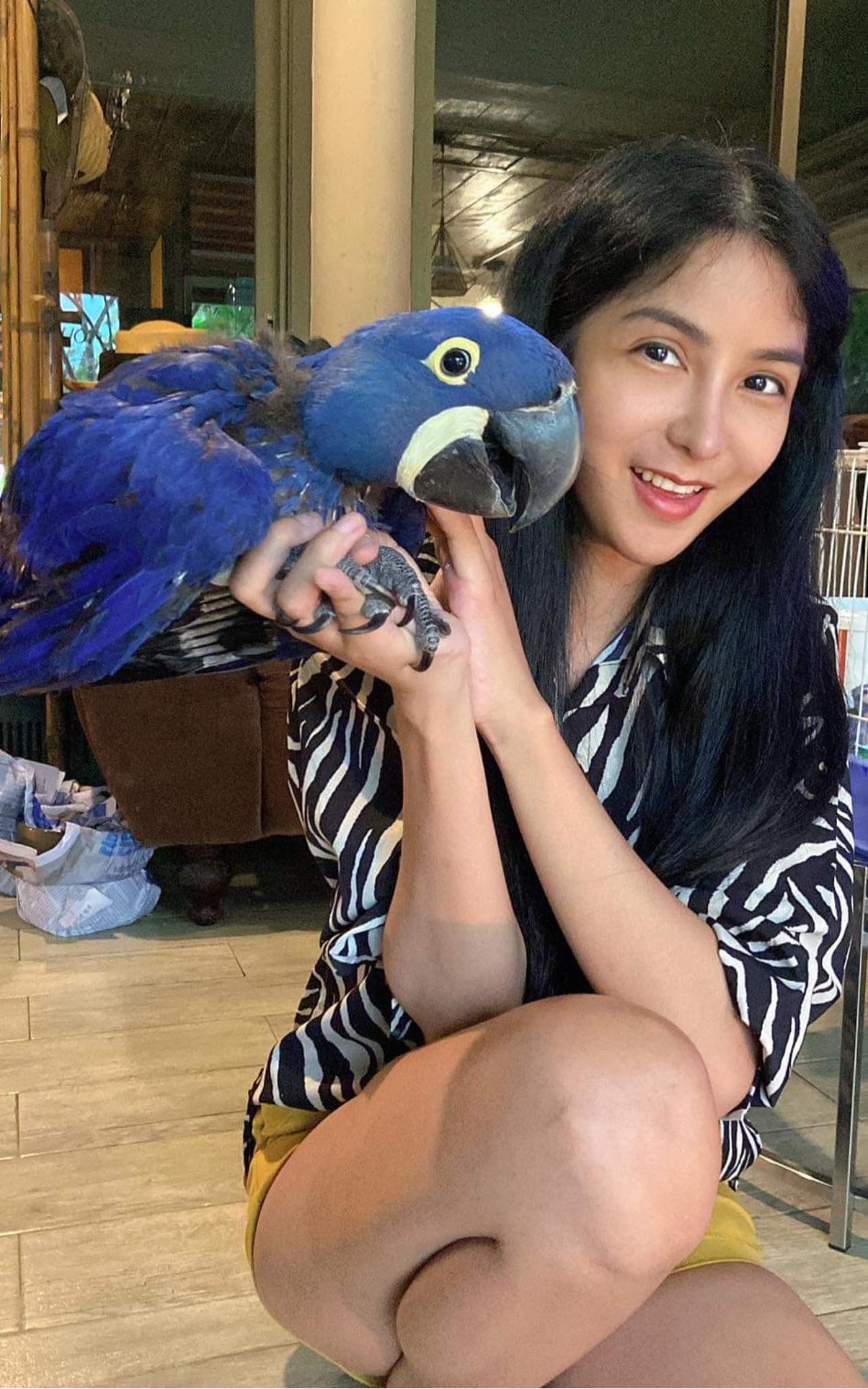 ฟิล์ม มิสทิฟฟานี่ หมดเงินหลักล้าน!! รักษาอาการเส้นเลือดในสมอง ฟิล์ม มิสทิฟฟานี่ หมดเงินหลักล้าน!! รักษาอาการเส้นเลือดในสมอง