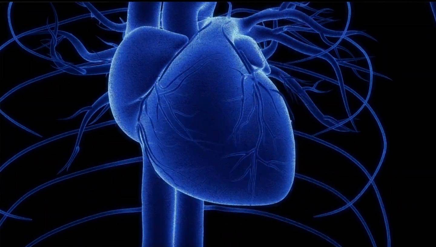 ใจสั่น ประจำเดือนน้อย เสี่ยงหัวใจขาดเลือด ? ใจสั่น ประจำเดือนน้อย เสี่ยงหัวใจขาดเลือด ?