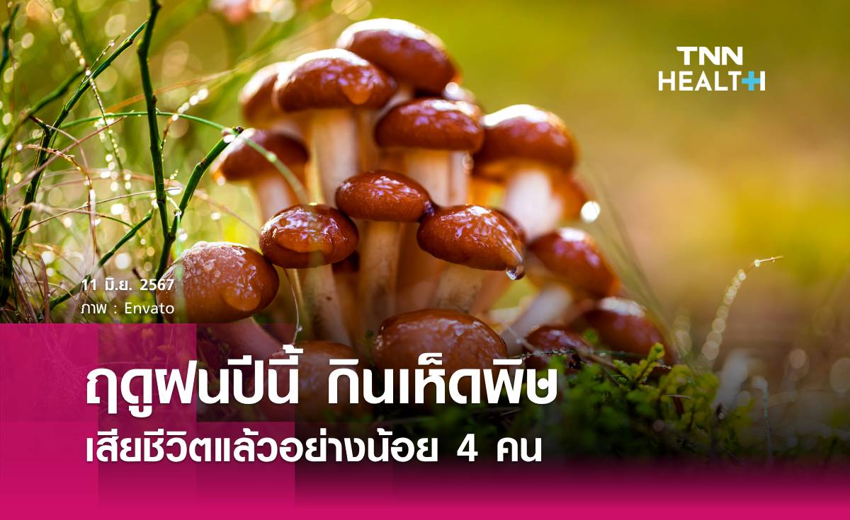กิน“เห็ดพิษ” ปีนี้พบเสียชีวิตแล้ว 4 ราย