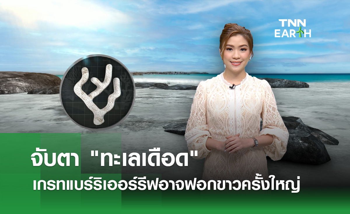 “ทะเลเดือด” หวั่น “เกรท แบรร์ริเออร์ รีฟ”ฟอกขาวครั้งใหญ่