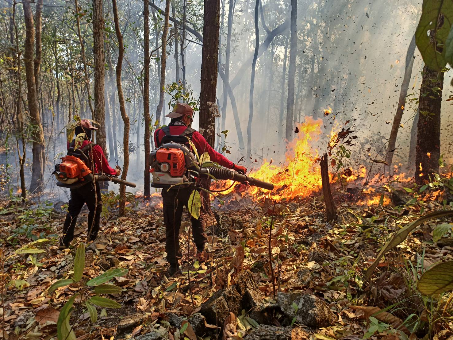 สั่งตรวจ ไฟป่า นำ โดรน DE นำเทคโนโลยี ช่วยตรวจไฟป่า สั่งตรวจ ไฟป่า นำ โดรน DE นำเทคโนโลยี ช่วยตรวจไฟป่า
