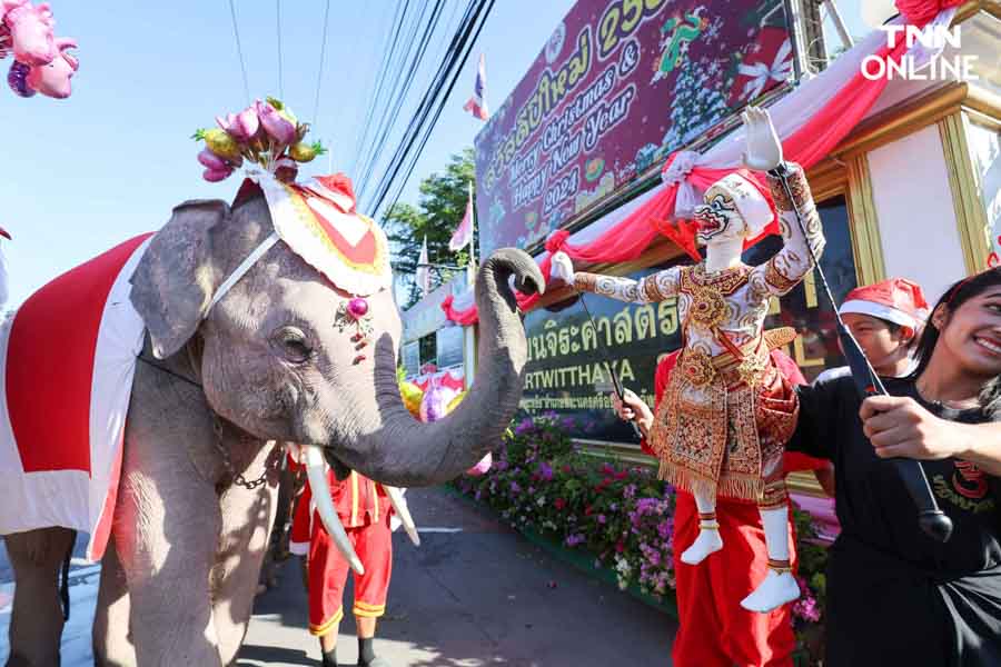 ช้างแปลงโฉมซานตาคลอส มอบความสุขในเทศกาลคริสต์มาส