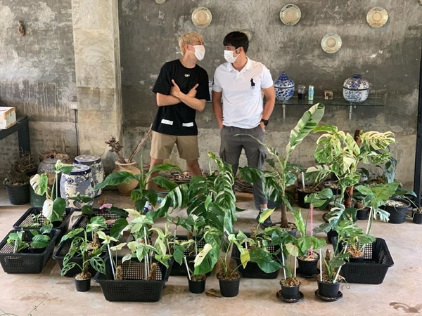 เคน ภูภูมิ ไลฟ์ประมูลต้นไม้ ได้ 8 แสนกว่า สมบททุนให้ครบ 1 ล้าน มอบให้โรงพยาบาล