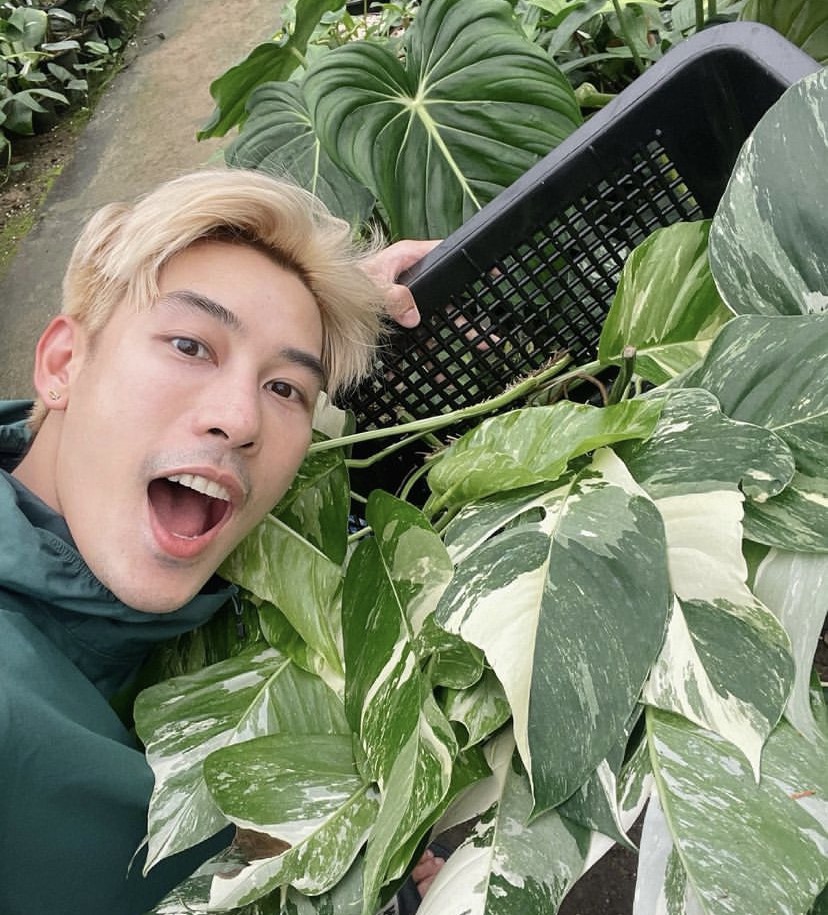 ราคาสูงลิ่ว เคน ภูภูมิ เปิดประมูลกล้วยด่าง ไม่กี่ชั่วโมงปิดที่ 120,000 !! ราคาสูงลิ่ว เคน ภูภูมิ เปิดประมูลกล้วยด่าง ไม่กี่ชั่วโมงปิดที่ 120,000 !!