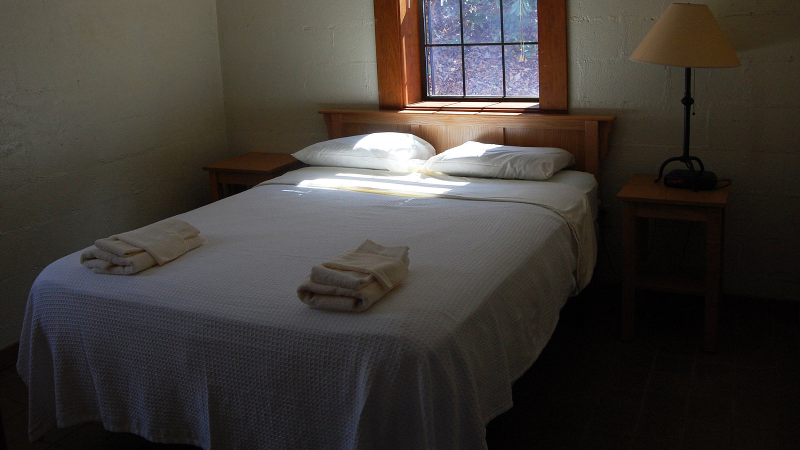 รู้หรือไม่ ? เราสามารถสื่อสารกับคนหลับผ่าน ความฝัน ได้ 