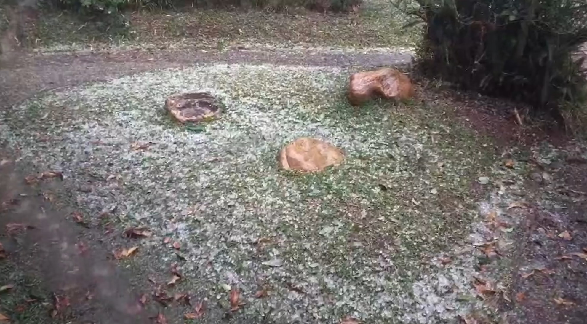 เปิดภาพ พายุลูกเห็บ ถล่มเชียงใหม่จนขาวโพลน! 