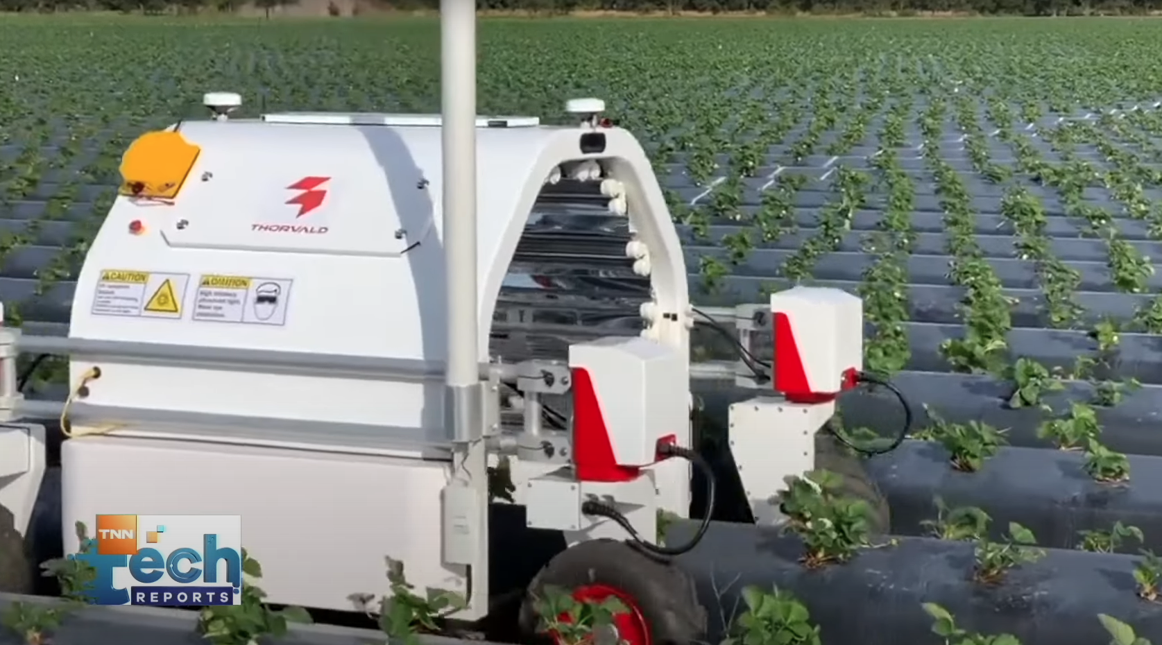 รวมเทคโนโลยีทำการเกษตรยุคใหม่ เพิ่มคุณผลผลิตสู่ระดับพรีเมียม | TNN Tech Reports รวมเทคโนโลยีทำการเกษตรยุคใหม่ เพิ่มคุณผลผลิตสู่ระดับพรีเมียม | TNN Tech Reports