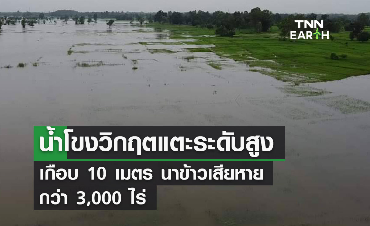 น้ำโขงวิกฤตแตะระดับสูง เกือบ 10 เมตร นาข้าวเสียหาย กว่า 3,000 ไร่
