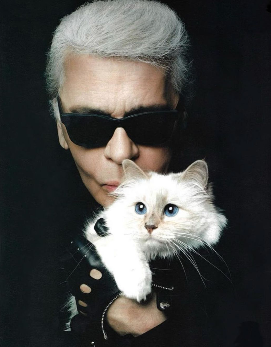 Met Gala 2023 เปิดที่มาชุดแมวของ Jared Leto น่ารักสตอรี่ดี! Met Gala 2023 เปิดที่มาชุดแมวของ Jared Leto น่ารักสตอรี่ดี!