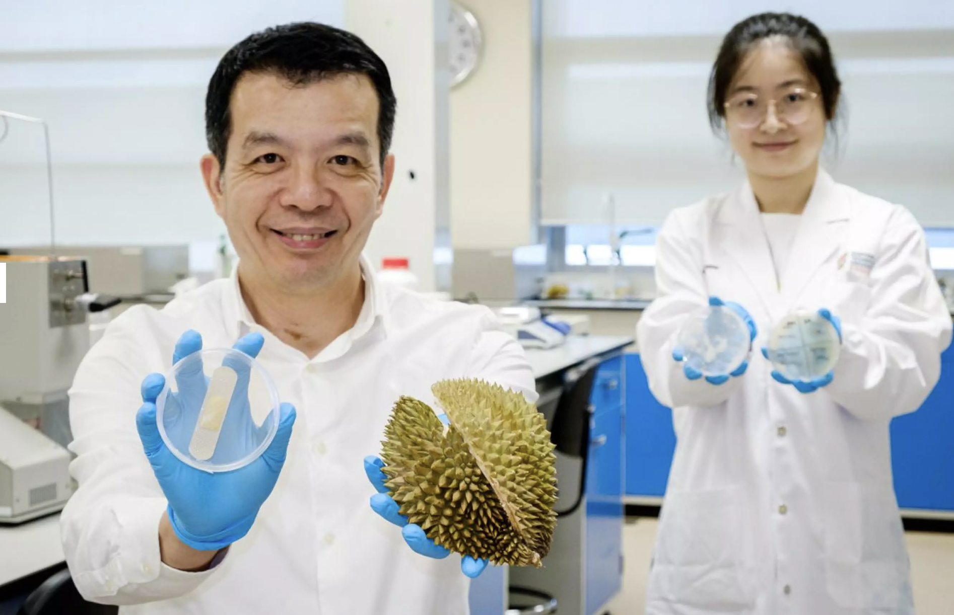 แผ่นแปะแผลจากเปลือกทุเรียน! ฆ่าเชื้อได้ รักษาแผลดี! แผ่นแปะแผลจากเปลือกทุเรียน! ฆ่าเชื้อได้ รักษาแผลดี!