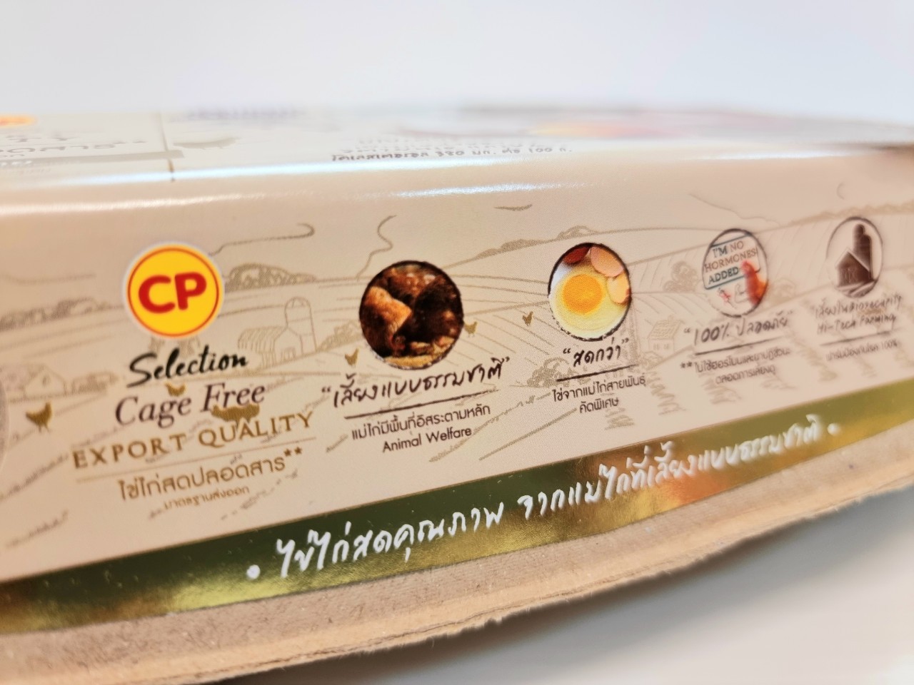 CPF มุ่งมั่นเพิ่มการผลิตไข่ไก่ Cage Free ปีละ 30%