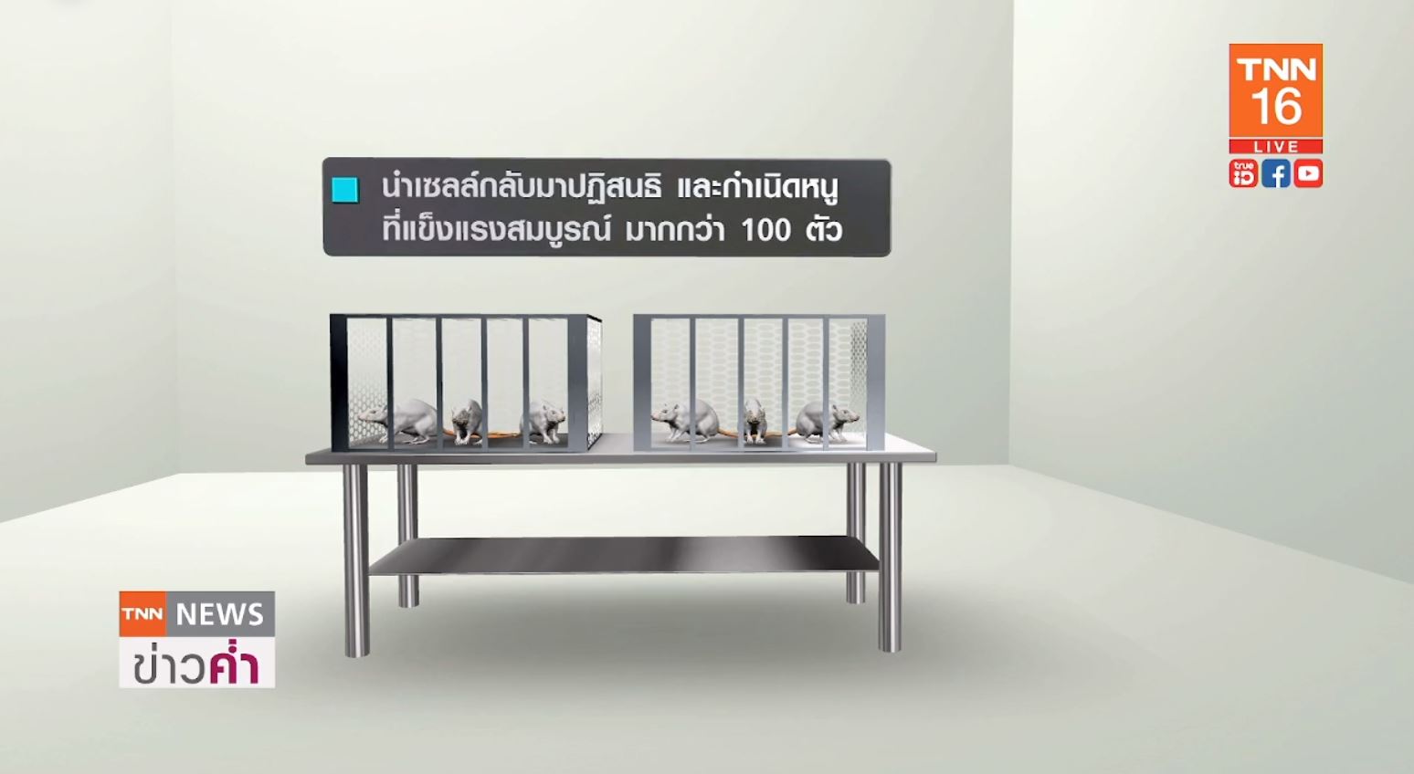 นักวิทยาศาสตร์ พบ สเปิร์ม เก็บบนอวกาศได้นาน 200 ปี