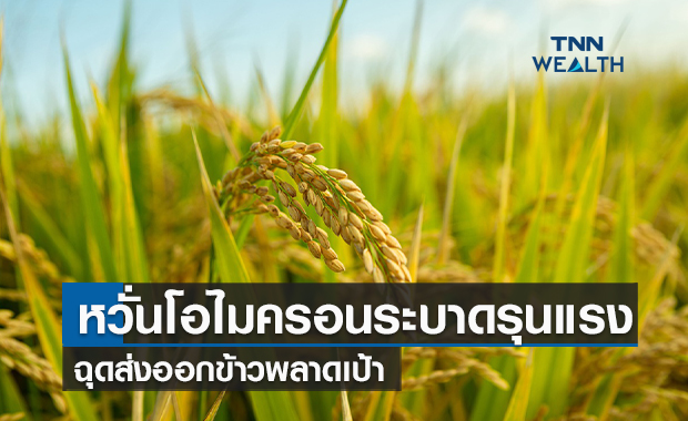 หวั่นโอไมครอนระบาดรุนแรงฉุดส่งออกข้าวพลาดเป้า