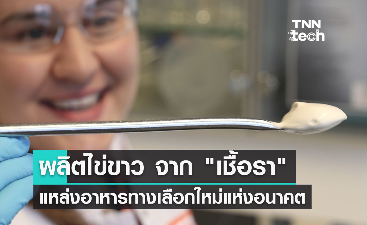 สุดทึ่ง !! นักวิจัยฟินแลนด์ ผลิตไข่ขาวจาก "เชื้อรา" ได้สำเร็จเป็นครั้งแรก