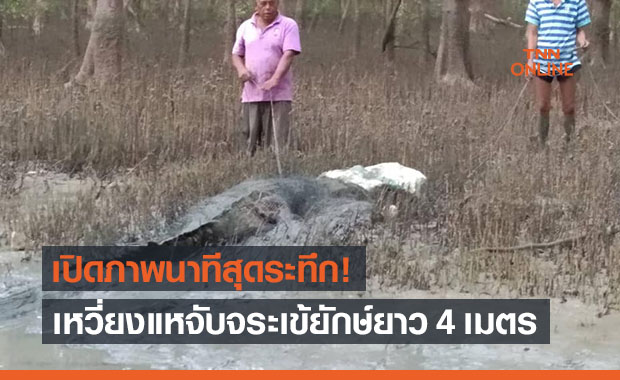 ชาวบ้านตะลึง! เหวี่ยงแหจับจระเข้ยักษ์ยาว 4 เมตร 