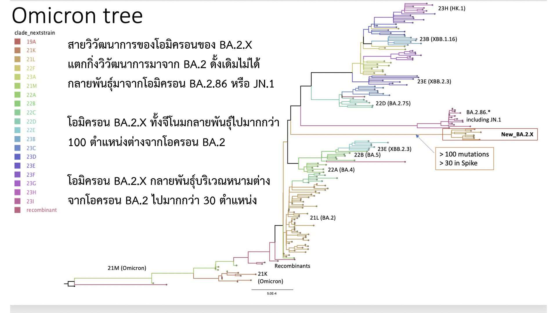 ผวา! พบ โอมิครอนสายพันธุ์ใหม่ BA.2.X กลายพันธุ์จาก BA.2 กว่า 100 ตำแหน่ง ผวา! พบ โอมิครอนสายพันธุ์ใหม่ BA.2.X กลายพันธุ์จาก BA.2 กว่า 100 ตำแหน่ง