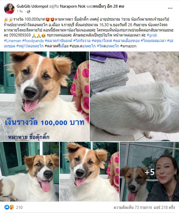 เจอแล้ว! ดุ๊กดิ๊ก เจ้าของจ่ายจริงผู้พบสุนัข 1 แสนบาท