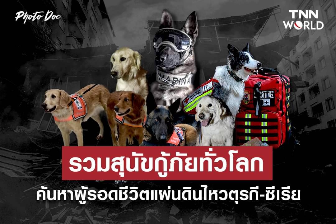 "รวมสุนัขกู้ภัย" ทั่วโลก ค้นหาผู้รอดชีวิตแผ่นดินไหวตุรกี-ซีเรีย