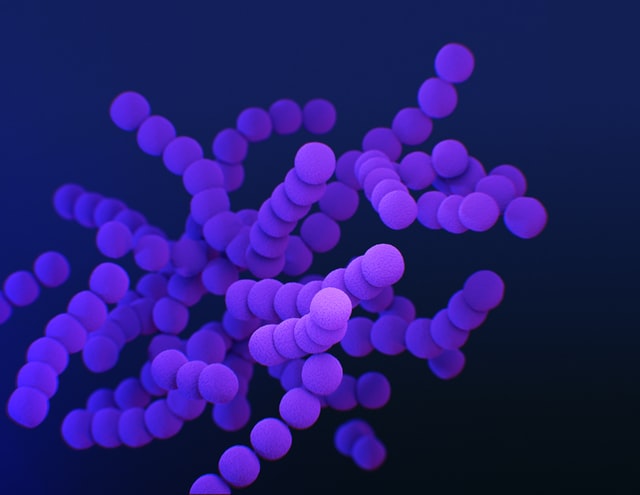 Phage ไวรัสกำจัดแบคทีเรีย ใช้รักษาโรคติดเชื้อดื้อยาปฏิชีวนะ Phage ไวรัสกำจัดแบคทีเรีย ใช้รักษาโรคติดเชื้อดื้อยาปฏิชีวนะ