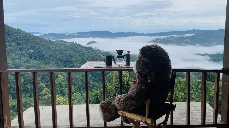 9 รูทเที่ยวน่าน เช็คอินปีใหม่ 2023 นอนดูดาว รับลมหนาวสุดฟิน! 9 รูทเที่ยวน่าน เช็คอินปีใหม่ 2023 นอนดูดาว รับลมหนาวสุดฟิน!