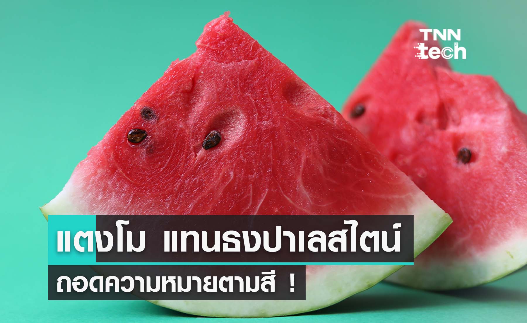รู้หรือไม่ "แตงโม" คือสัญลักษณ์ที่เกี่ยวข้องกับ "ปาเลสไตน์"