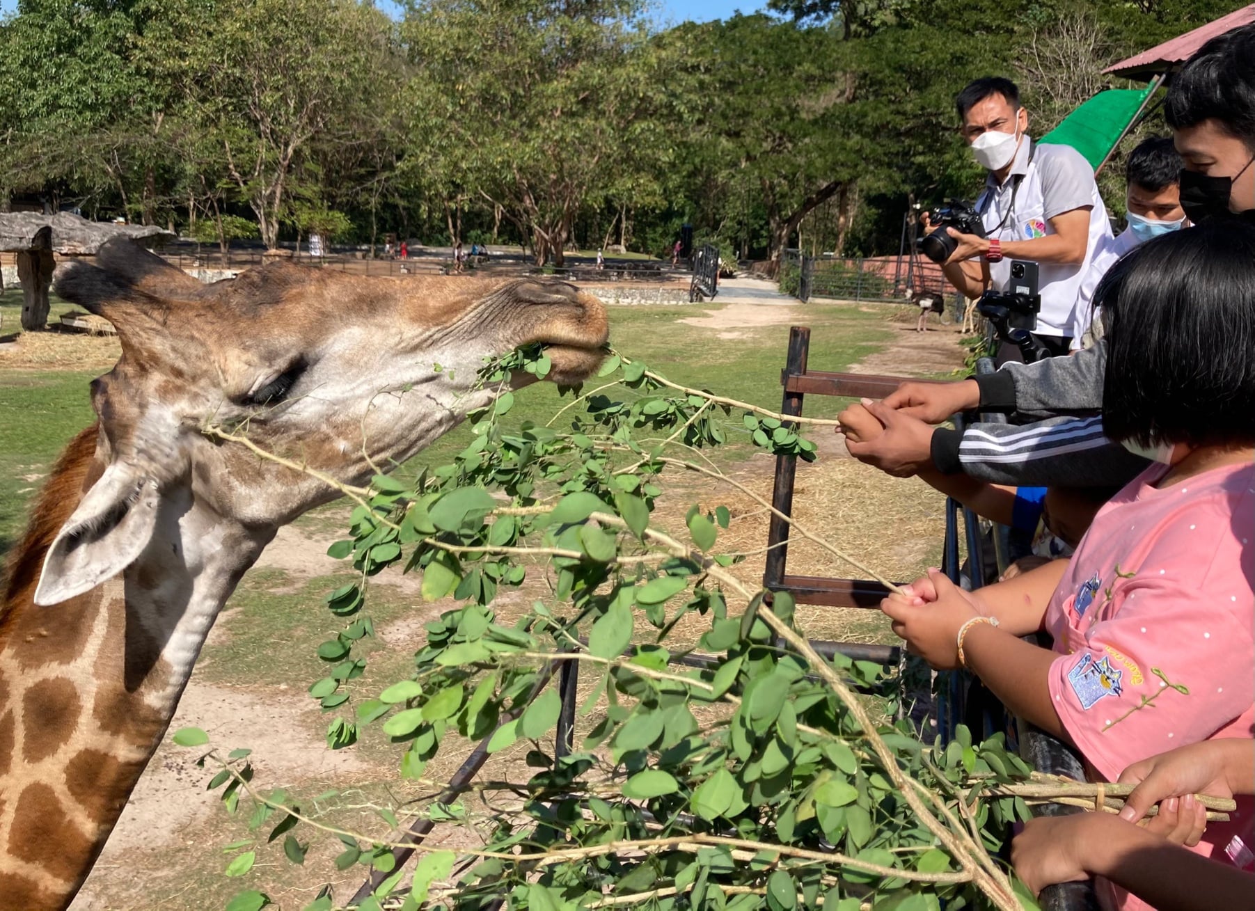 สวนสัตว์เปิดเขาเขียว เปิดให้เด็กๆ เที่ยวฟรี เสาร์หรรษา 8 มกราคม นี้