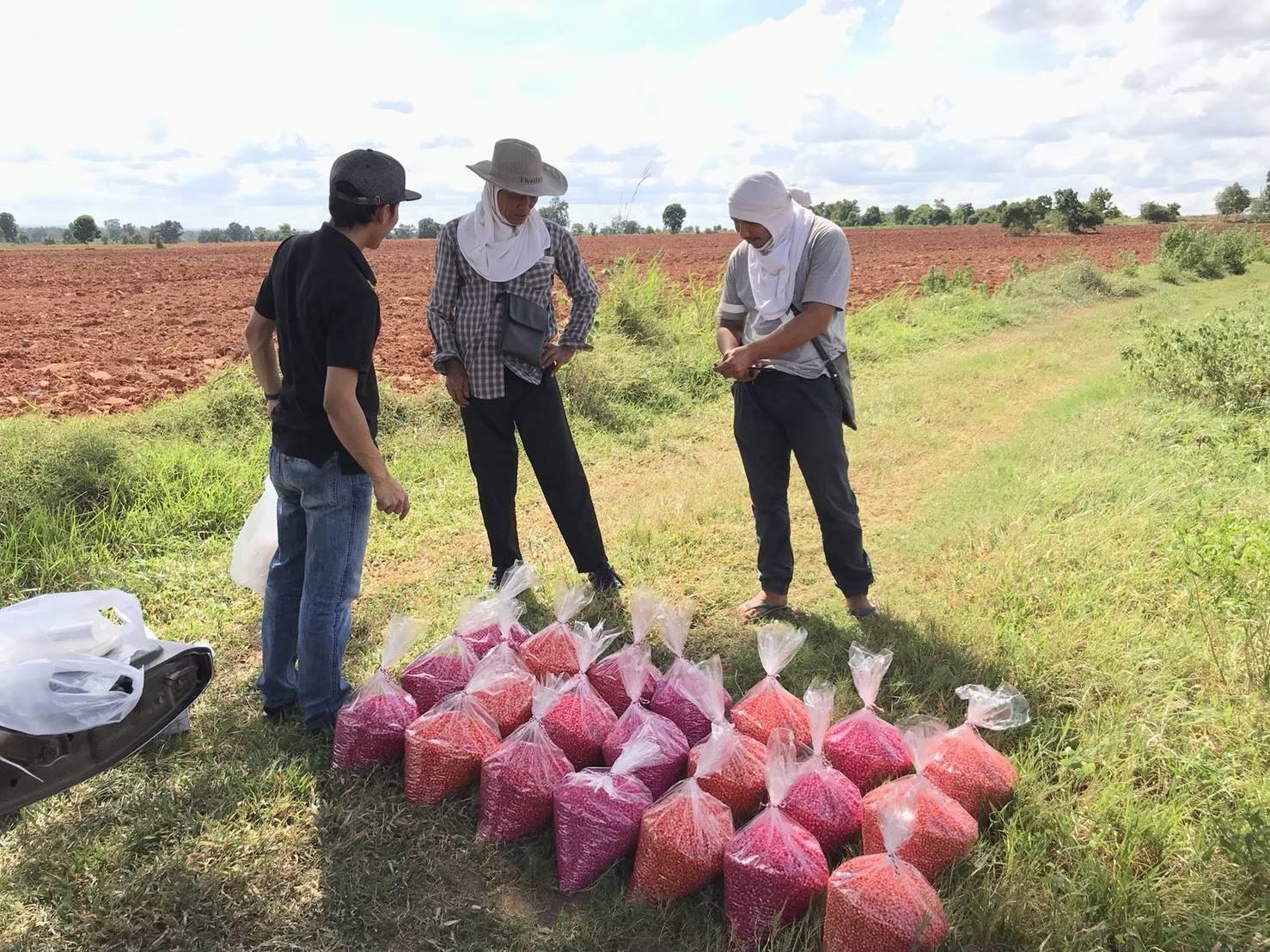 ซีพีเอฟ ร่วมกับคู่ค้าธุรกิจ ส่งเสริมเกษตรกรปลูกข้าวโพดใช้ไถกลบตอซังแทนการเผา ซีพีเอฟ ร่วมกับคู่ค้าธุรกิจ ส่งเสริมเกษตรกรปลูกข้าวโพดใช้ไถกลบตอซังแทนการเผา