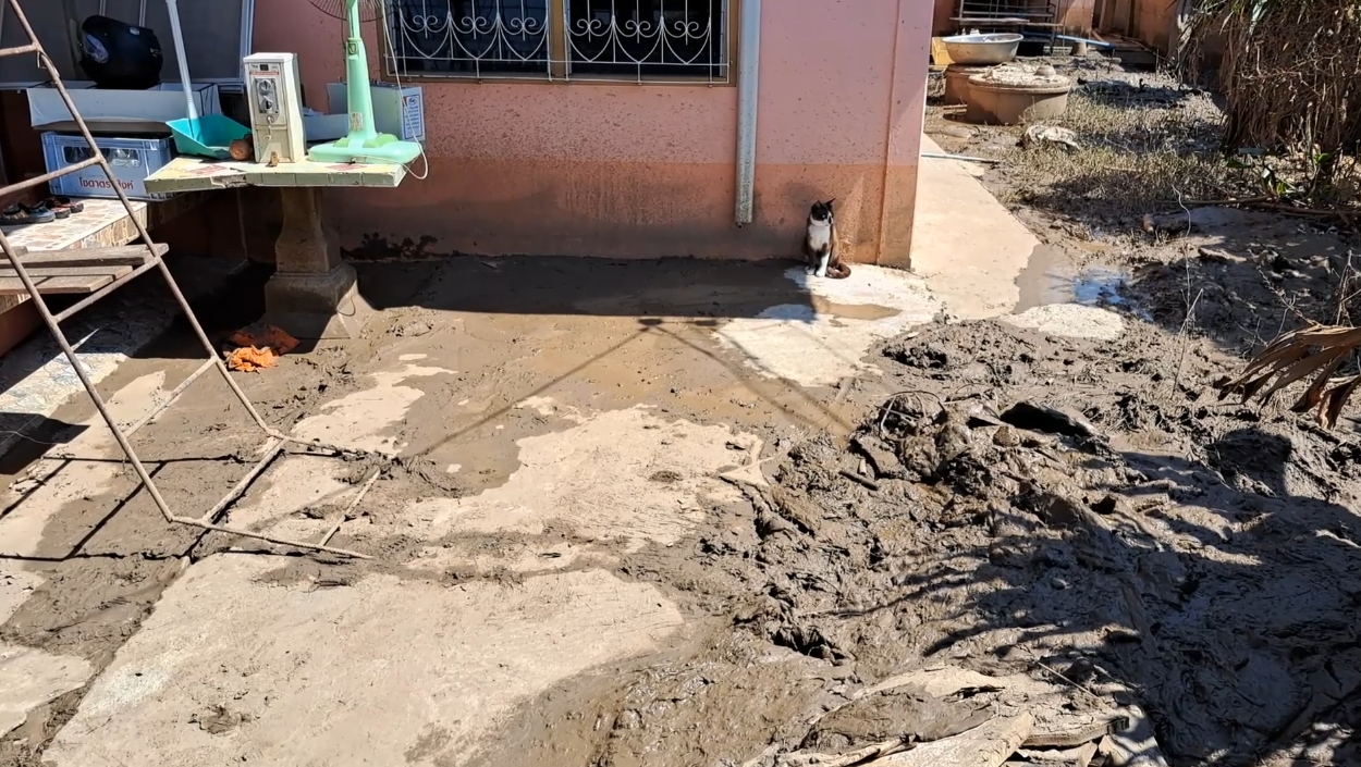 เปิดภาพมุมสูง เขื่อนเจ้าพระยา และร่องรอยความเสียหายหลังน้ำลด เปิดภาพมุมสูง เขื่อนเจ้าพระยา และร่องรอยความเสียหายหลังน้ำลด