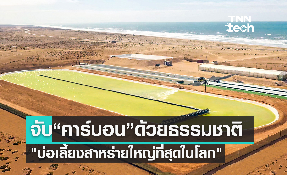 "บ่อเลี้ยงสาหร่ายใหญ่ที่สุดในโลก" เทคโนโลยีธรรมชาติในการดักจับคาร์บอน !?
