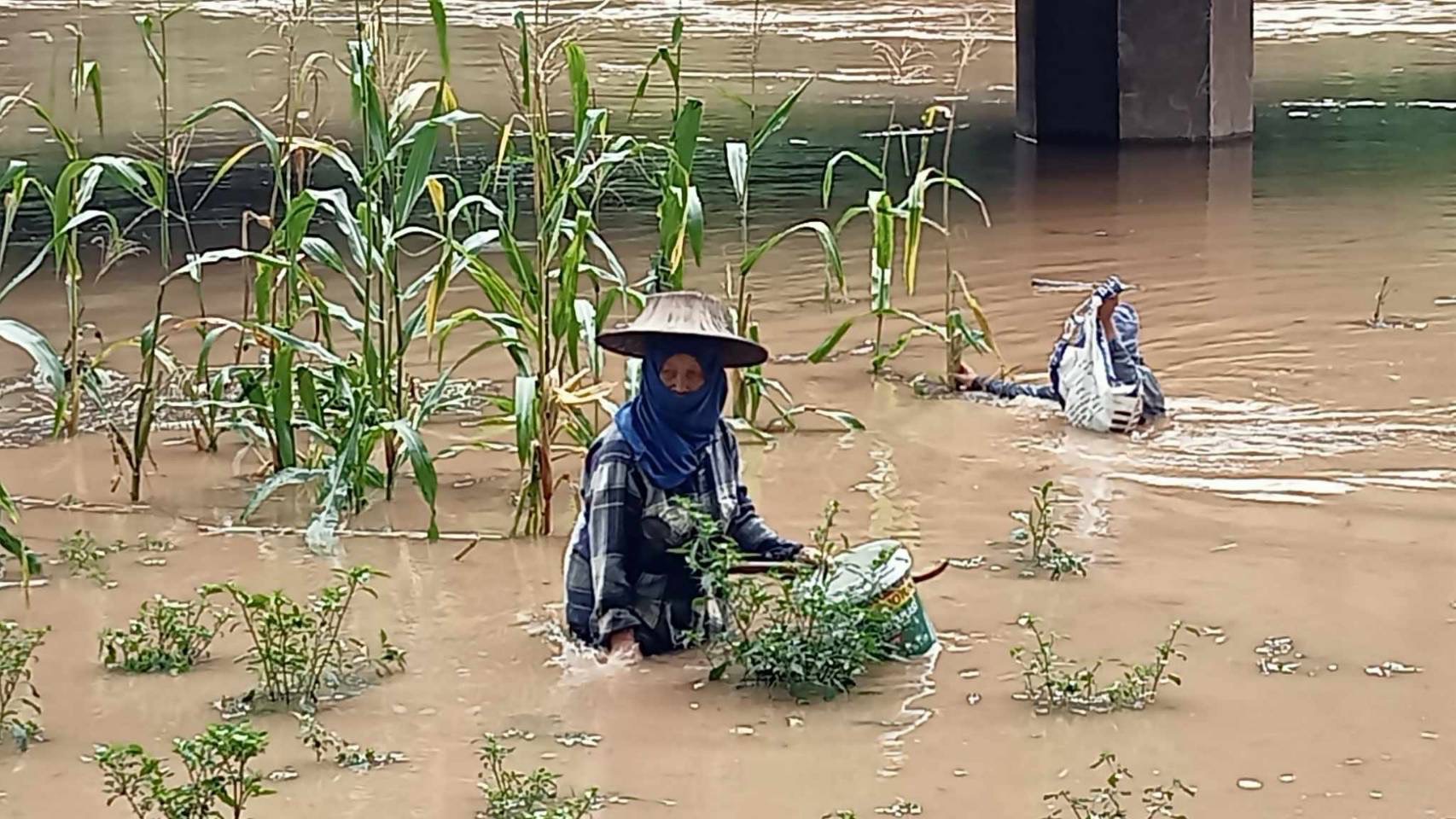 จ.เลย แจ้งเตือนด่วน! เฝ้าระวังน้ำล้นตลิ่ง-น้ำท่วมฉับพลัน จ.เลย แจ้งเตือนด่วน! เฝ้าระวังน้ำล้นตลิ่ง-น้ำท่วมฉับพลัน