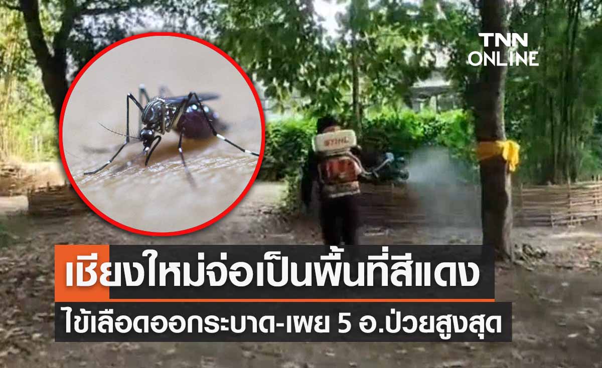  ไข้เลือดออกระบาด! เชียงใหม่จ่อเป็นพื้นที่สีแดง เผย 5 อำเภอป่วยสูงสุด