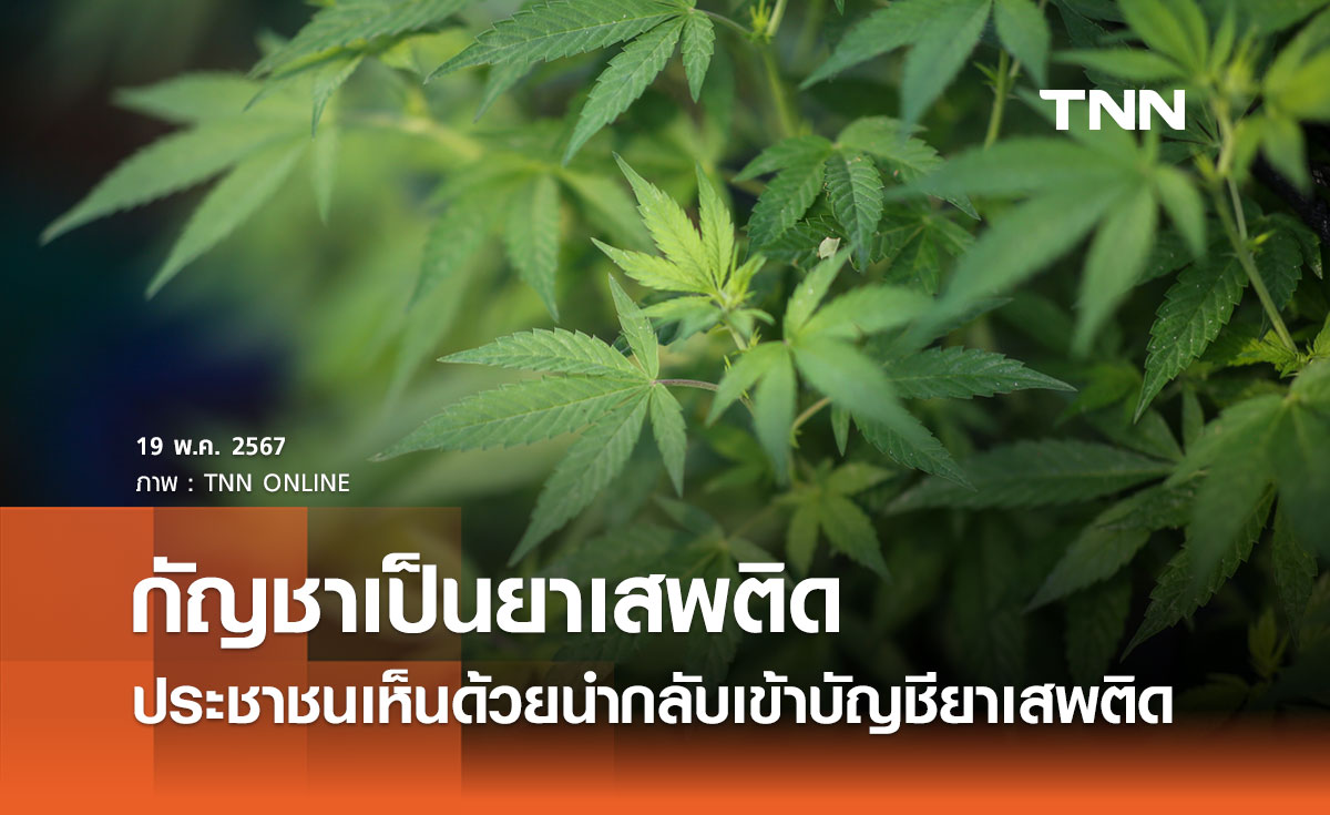 นิด้าโพล ชี้ผลสำรวจประชาชนส่วนใหญ่ มองกัญชาเป็นยาเสพติด แต่ก็มีประโยชน์