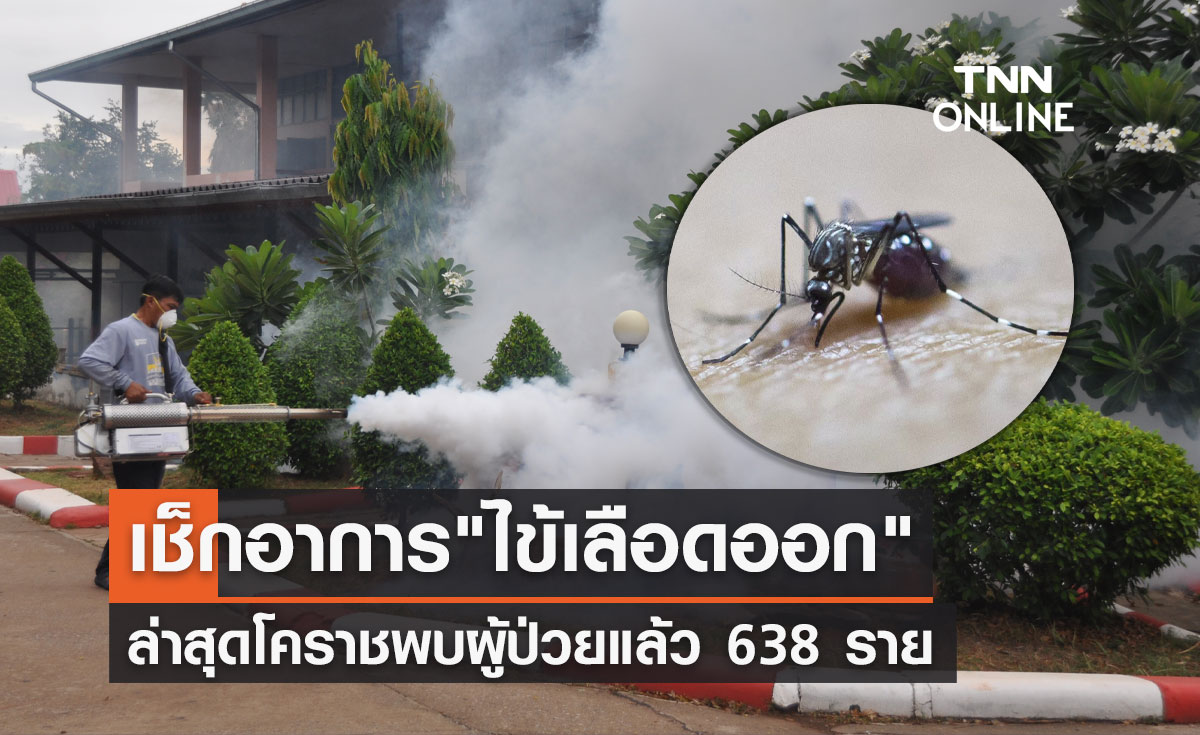 โคราชป่วย "ไข้เลือดออก" แล้ว 638 ราย เช็กอาการเลยเป็นอย่างไร