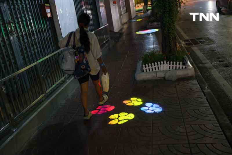 หมูเด้งบุกกรุง แสง สีสุดอลังการ ส่งท้ายปี หมูเด้งบุกกรุง แสง สีสุดอลังการ ส่งท้ายปี