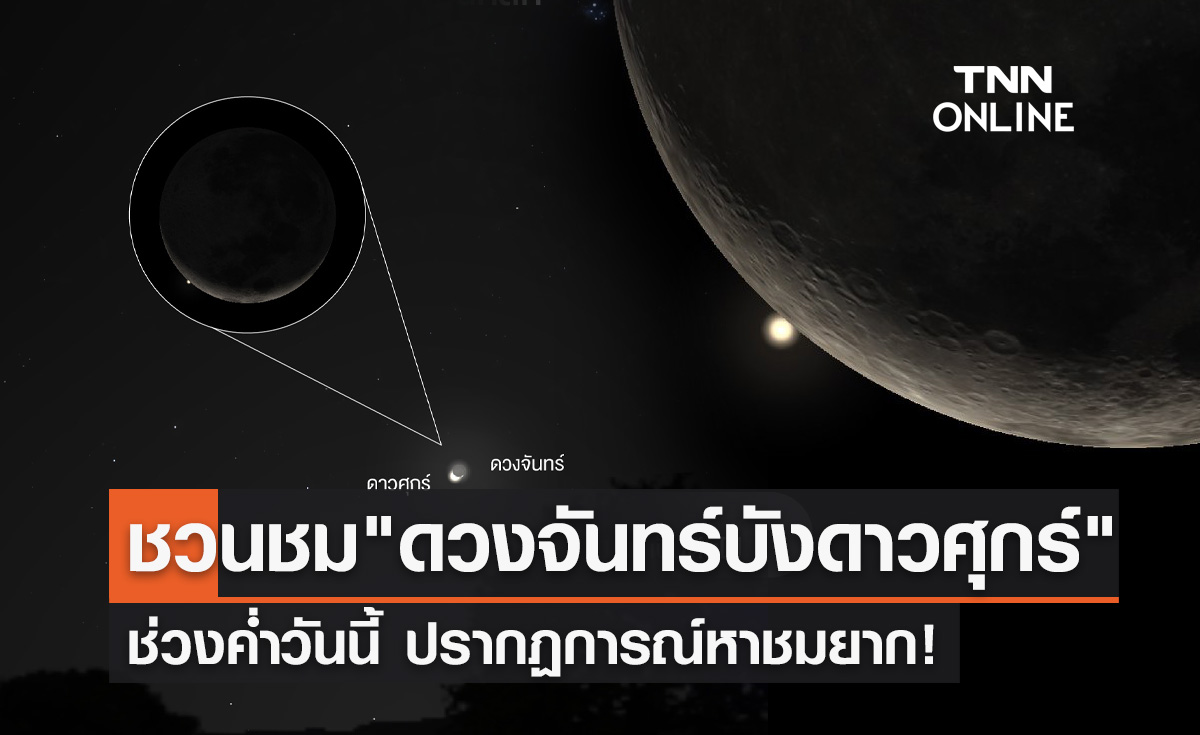 ค่ำนี้ห้ามพลาด! "ดวงจันทร์บังดาวศุกร์" ปรากฏการณ์ดาราศาสตร์หาชมยาก 
