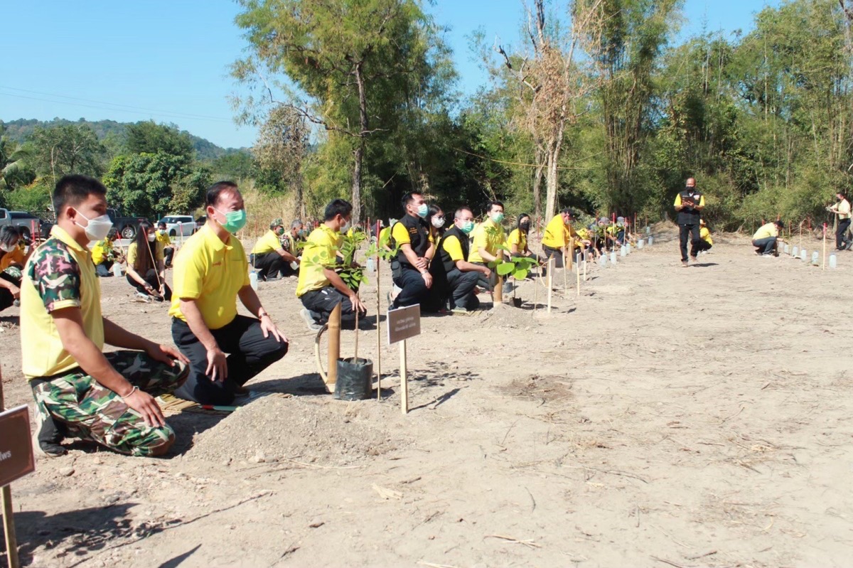 กรมอุทยานแห่งชาติฯ จับมือ ซีพี-เมจิ เพิ่มพื้นที่สีเขียวต่อเนื่อง