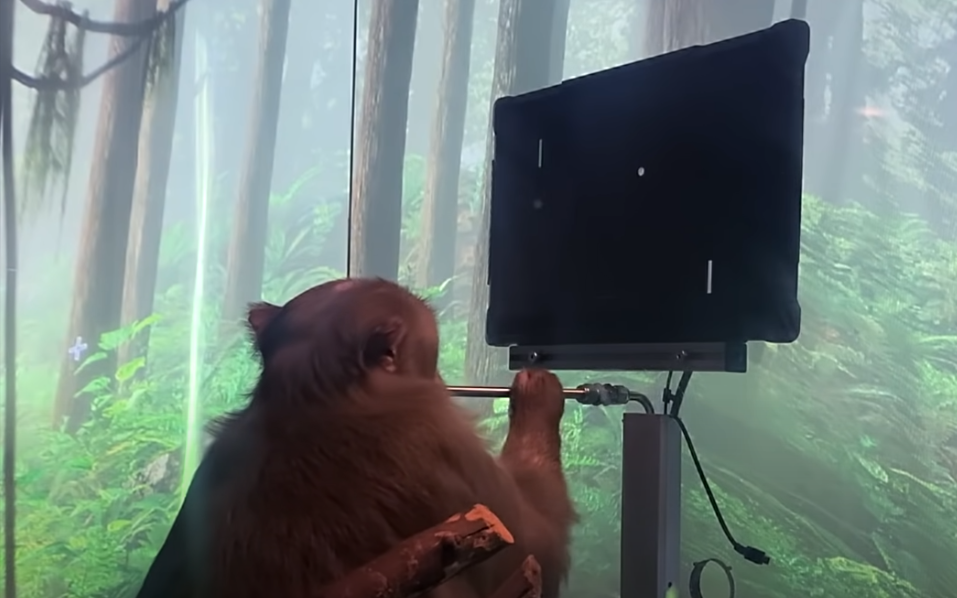 Neuralink เตรียมทดสอบชิปฝังสมองในมนุษย์ Neuralink เตรียมทดสอบชิปฝังสมองในมนุษย์