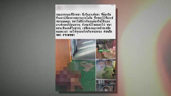 “แก้มบุ๋ม” ฟ้องคู่กรณีด่าทารุณกรรมสัตว์เรียกเงิน 1 ล้านบาท  (มีคลิป)