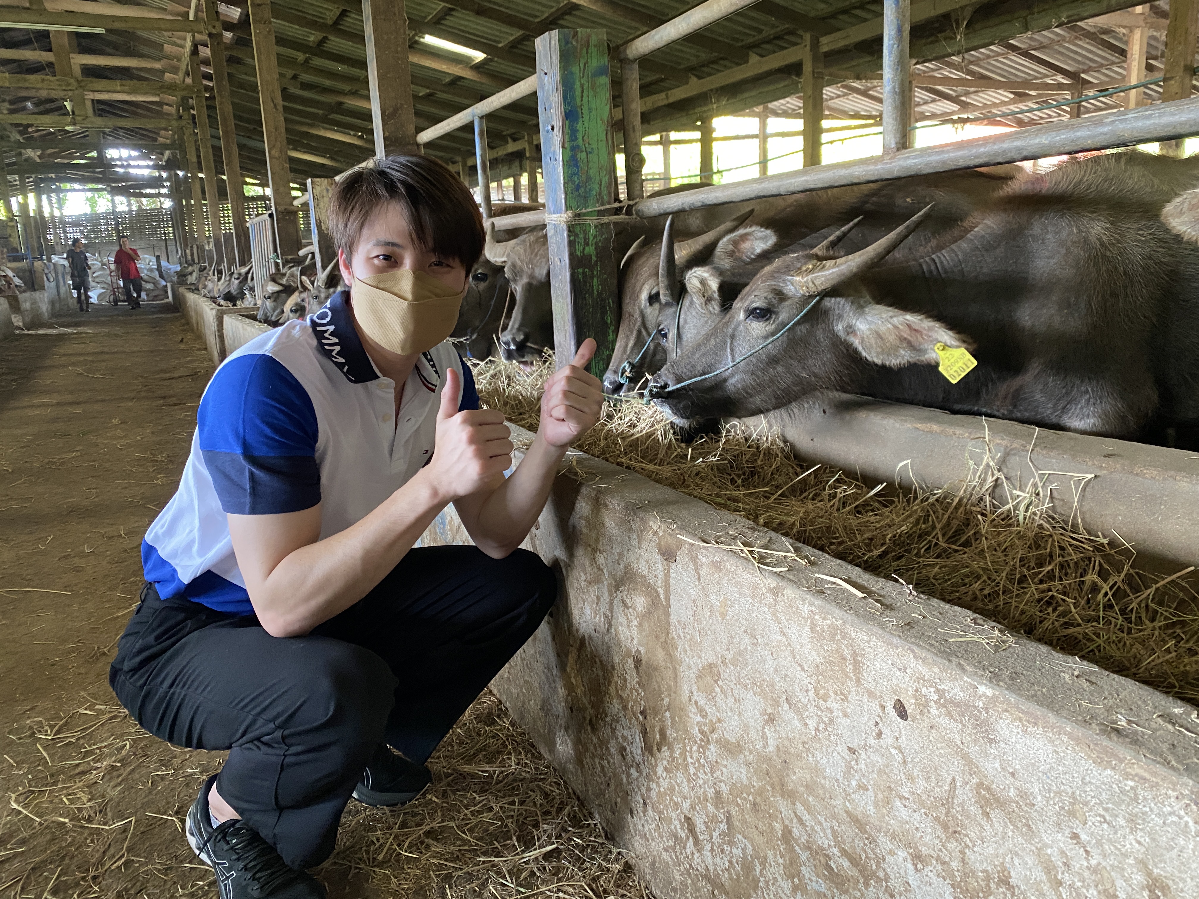 มีน พีรวิชญ์ และ ครอบครัว ทำบุญวันเกิดไถ่ชีวิตกระบือ มีน พีรวิชญ์ และ ครอบครัว ทำบุญวันเกิดไถ่ชีวิตกระบือ