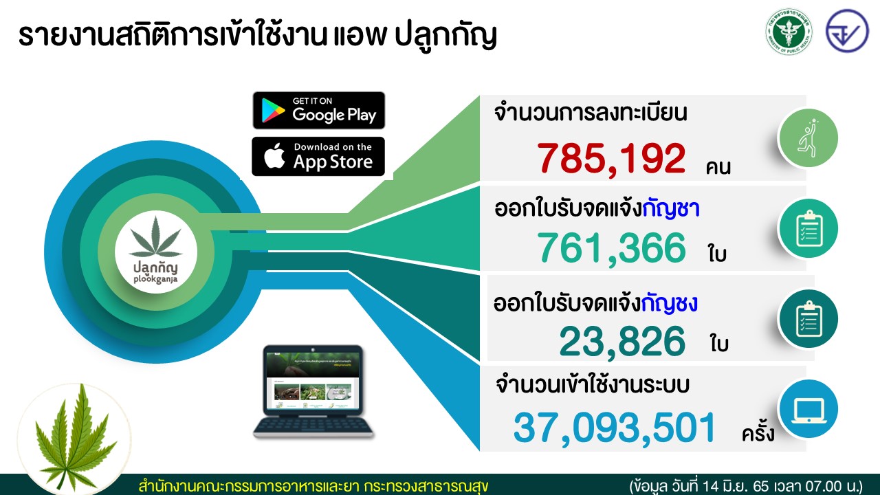 ลงทะเบียนปลูกกัญชา ล่าสุดปชช.จดแจ้งแล้ว 7.8 แสนคน ลงทะเบียนปลูกกัญชา ล่าสุดปชช.จดแจ้งแล้ว 7.8 แสนคน